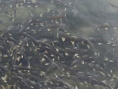 -青海湖二郎剑景区