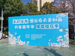 -高东镇樱花园