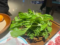 蔬菜-贵府酸汤牛肉火锅·贵州老字号(飞山街店)