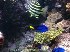-鹿儿岛水族馆