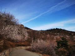 -北京西山国家森林公园