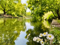 -上海共青森林公园