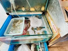 -赵璐海鲜面馆(德行路店)