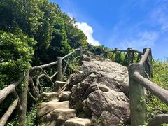 -梧桐山风景名胜区