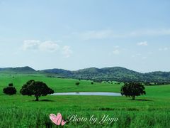 -五角枫生态旅游景区