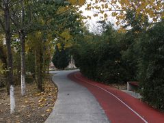 -绿岛公园(滨海新区)