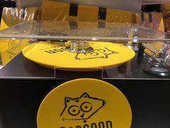 -浣熊唱片店(上海影城店)