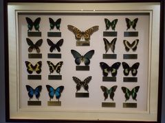 -上海昆虫博物馆