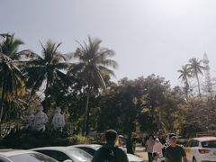 -东郊椰林