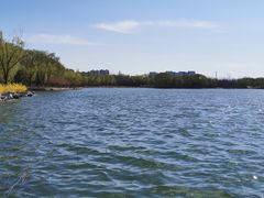 -大兴滨河森林公园