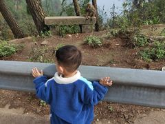 -重庆雨台山风景区