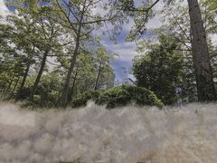 -深圳图书馆-停车场
