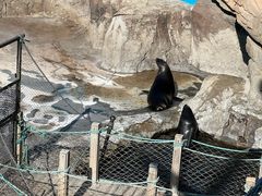 -大连老虎滩海洋公园