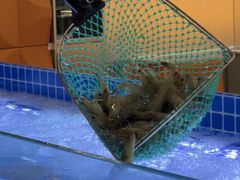 -扶摇树下·椒麻鲜活虾(石家庄勒泰广场店)