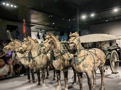 -秦始皇帝陵博物院-丽山园