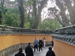 -普陀山风景名胜区-法雨禅寺