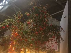 -祥源·阜阳生态乐园