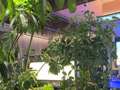 -七欣天香辣蟹火锅(常熟珠海路万达广场店)