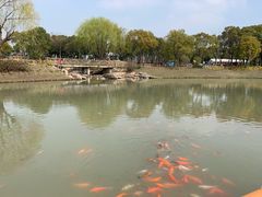 -嘉北郊野公园