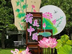 -无锡蠡湖国家湿地公园-蠡园