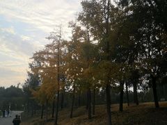 -西安浐灞国家湿地公园