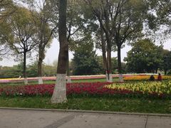 -上海鲜花港