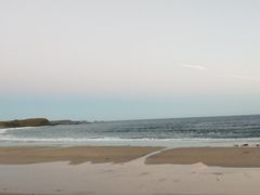 -企鹅岛