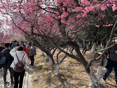 -白塘生态植物园