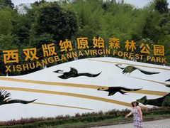 -西双版纳原始森林公园