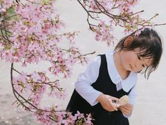 -天适樱花悠乐园