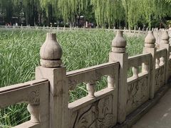 -文瀛公园