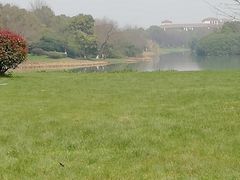 -艾溪湖湿地公园