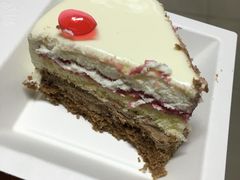 -BLACKSWAN黑天鹅(环球店)