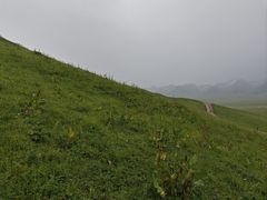 -新疆那拉提国家旅游度假区
