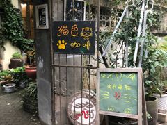 -猫色咖啡·猫咖
