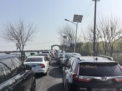 -合肥滨湖国家森林公园