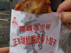 -半月镰胡姐脆皮萝卜饺子