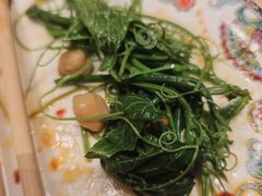 清炒南瓜尖儿-巴依老爷新疆美食(常营店)