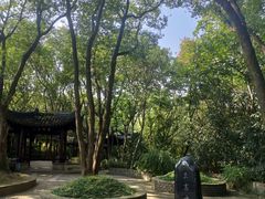 -上海佘山国家森林公园天马山园