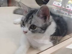-万达广场(东莞东城店)