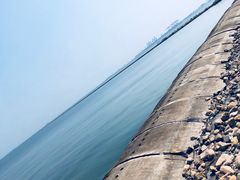 -东疆建设开发纪念公园