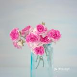 春天要来了，我们馆里见～～