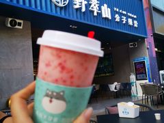 -野萃山·潮汕厚果汁(十亩地店)