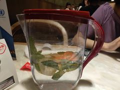 -望湘园·洞庭渔宴(永旺店)