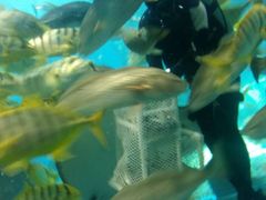 -北戴河圣蓝海洋公园