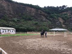 -枫露马术学院(藏书校区)