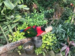 -南宫五洲植物乐园