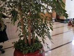 -飞洲国际广场