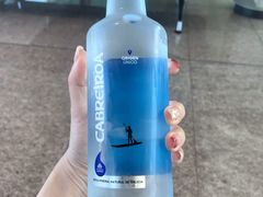 -巴塞罗那约瑟·塔拉德利亚斯-埃尔·普拉特机场