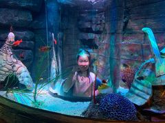 -沈阳海洋探索中心